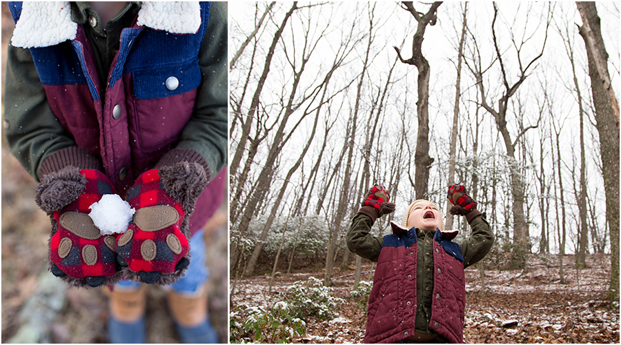 woods photoshoot