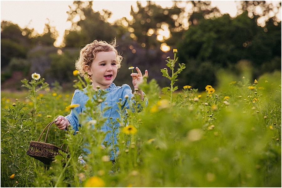 Flower field